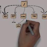 PART 2 INTRODUCTION TO COMMAND LINE THE LINUX FILE SYSTEM