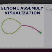 Bandage Tutorial For Genome Assembly Visualization