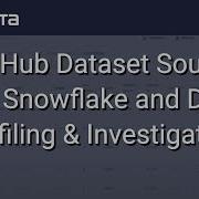 DataHub Dataset Sources Like Snowflake And Data Profiling Investigation NTT DATA Databytes Ep 18