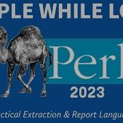 Perl Programming While Loop 2023