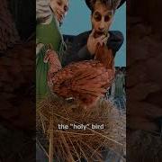She Claimed Her Chicken Laid Holy Messages