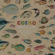 Cosmo Sheldrake Come Along Instrumental