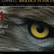 Biology In Focus Chapter 4 A Tour Of The Cell Notes