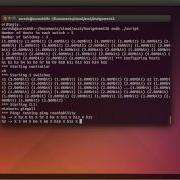 Network Topology Using Mininet