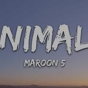 Maroon 5 Animals Lyrics