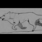 Running Wolf Animation