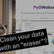 Use Eraser To Clean Data In PyGWalker