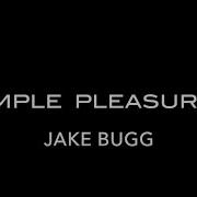 Simple Pleasures Lyric Video Jake Bugg HD