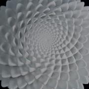 Creating The Never Ending Bloom