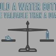 The Paradox Of Value Akshita Agarwal