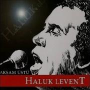 HALUK LEVENT VAPURUM