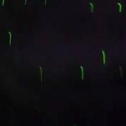 New SDD Shadow Detector With GREEN LASER Grid Shadow Vibration Detection