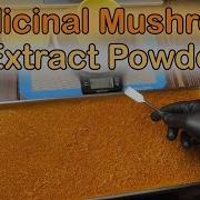 How To Make Medicinal Mushroom Dual Extract Powder