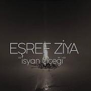 EŞREF ZİYA İSYAN ÇİÇEĞİ