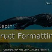 Zig In Depth Struct Formatting
