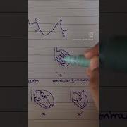 Jugular Venous Pressure JVP Explained