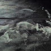 Cloud Chamber