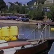 Jaws 1986