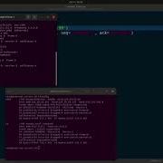 TCP Reverse Shell ARP Poisoning Using Scapy