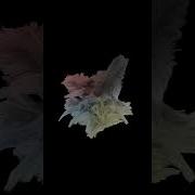 Particle Flowfield Shorts Touchdesigner