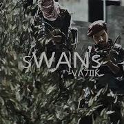 COD4 SWANS By VA7IIK Rp