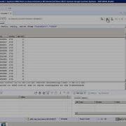 Select Query Using SQL Console SAP HANA