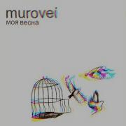 Моя весна