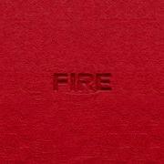 Palm Monkey The Palm Tree Boy Boix Breakloop VANDR FIRE Official Lyric Video