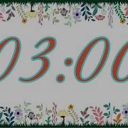 3 Minute Spring Timer With Music And Alarm