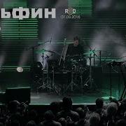 Дельфин Dolphin Дверь Акустика Live
