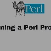 Perl Script Tutorial For Beginners 2 Running A Perl Program Perl Perltutorial