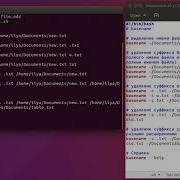 Linux Command Basename