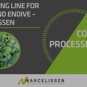 Processing Line For Salad And Endive Marcelissen