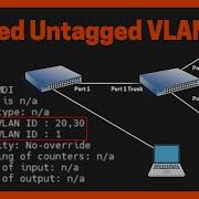 Tagged VS Untagged On Switch Explain And Configure In Real HP Aruba Switch