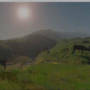 OpenGL C Skeletal Animation Demo 01