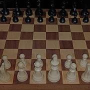 DGT Starter Chess Set Unboxing Short Review