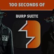 Burp Suite объяснение за 100 секунд версия для хакеров