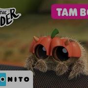 ÖRÜMCEK LUCAS Böö TAM BÖLÜM CartoonitoTurkiye