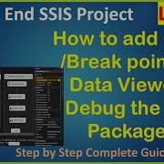 SSIS Lab 14 How To Debug The SSIS Packages Using Break Point Check Point And Data Viewer