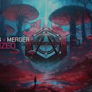 Disco Fries Merger Hypnotized Official Audio