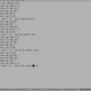Using The Sort Command