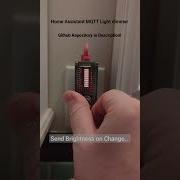 Preview DIY Smart Light Dimmer Switch With ESP32 Micropython For Home Assistant Node Red