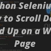 Python Selenium Как прокручивать веб страницу вниз и вверх
