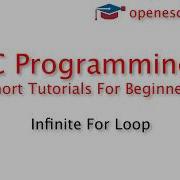 C Programming Infinite For Loop