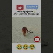 Python Vs C Meams Shorts Viralvideo Trending Youtubeshorts Funny Comedy Pythonprogramming