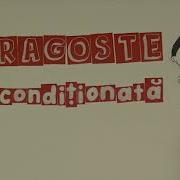 Circle Of Security International Connection Video