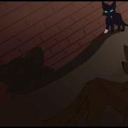 Warriors Scourge MAP AMV Part 9