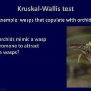Experimental Design Analysis Lecture 9 Part 1
