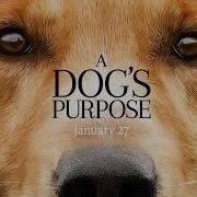 A Dog S Purpose Official Trailer HD