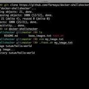 Checking For Shellshock In A Docker Image